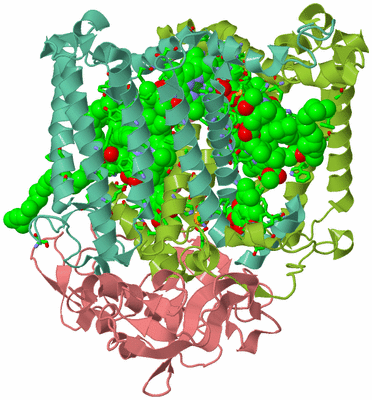 Image Asym./Biol. Unit - sites