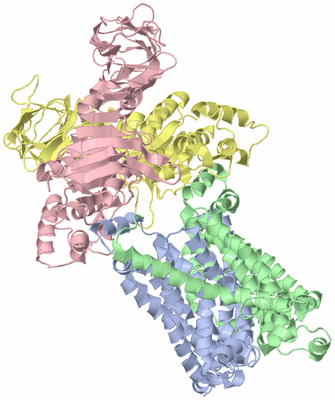 Image Biological Unit 1