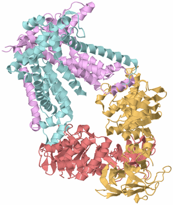 Image Biological Unit 2