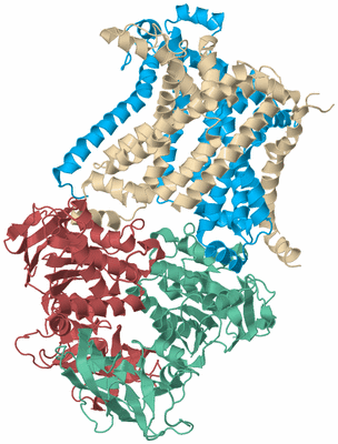 Image Biological Unit 3