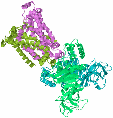 Image Biological Unit 4