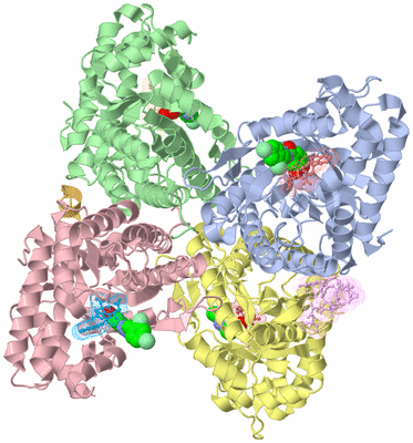 Image Asym./Biol. Unit