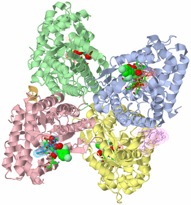 Image Asym./Biol. Unit - sites