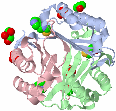 Image Asym./Biol. Unit