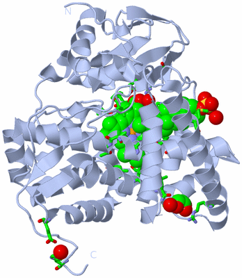 Image Biol. Unit 1 - sites