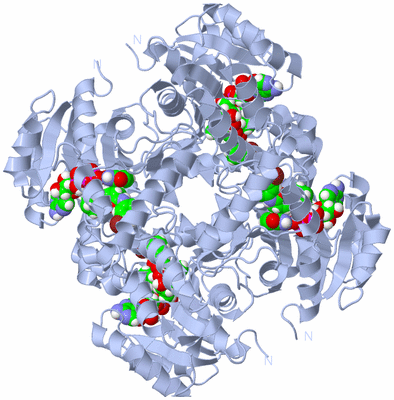 Image Biological Unit 1