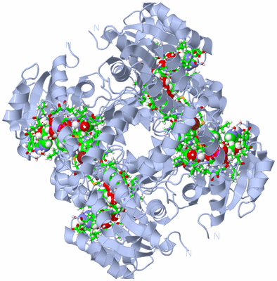 Image Biol. Unit 1 - sites