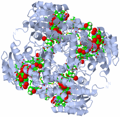 Image Biol. Unit 1 - sites