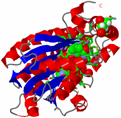 Image Asym. Unit - sites