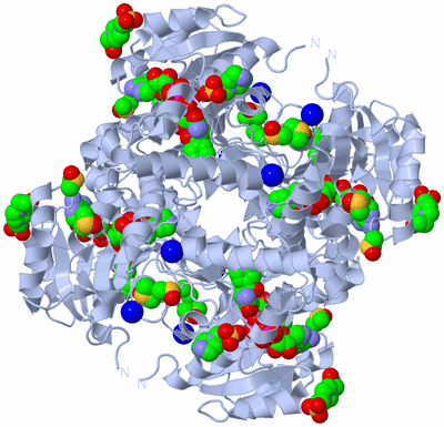 Image Biological Unit 1