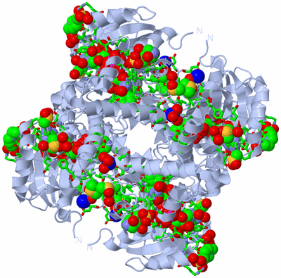 Image Biol. Unit 1 - sites