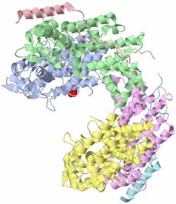 Image Asym./Biol. Unit