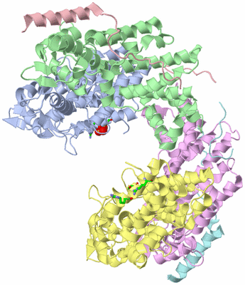 Image Asym./Biol. Unit - sites