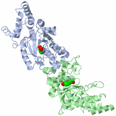 Image Asym./Biol. Unit