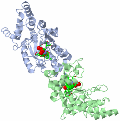 Image Asym./Biol. Unit - sites