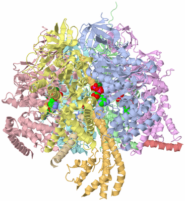 Image Asym./Biol. Unit