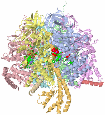 Image Asym./Biol. Unit - sites