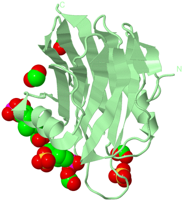 Image Biological Unit 2