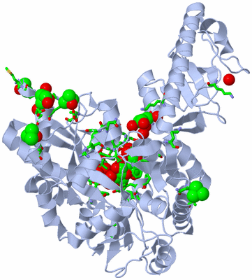 Image Biol. Unit 1 - sites