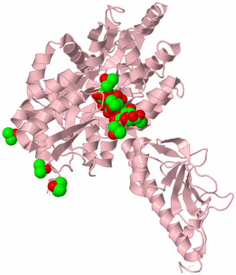 Image Biological Unit 3