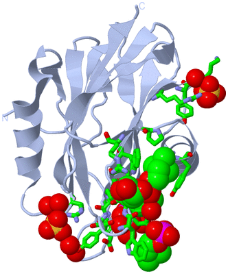 Image Biol. Unit 1 - sites