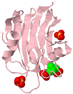 Image Biological Unit 3