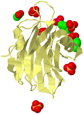 Image Biological Unit 4