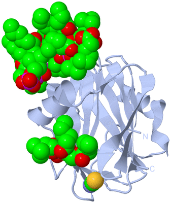 Image Biological Unit 1