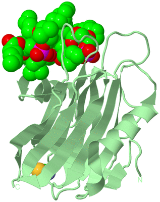 Image Biological Unit 2