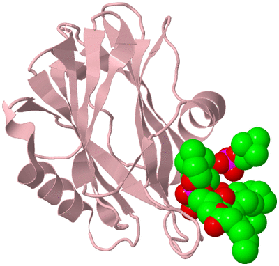 Image Biological Unit 3