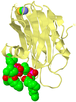 Image Biological Unit 4