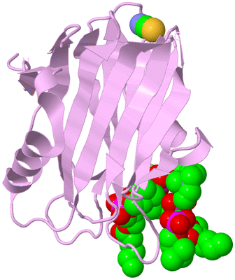 Image Biological Unit 5