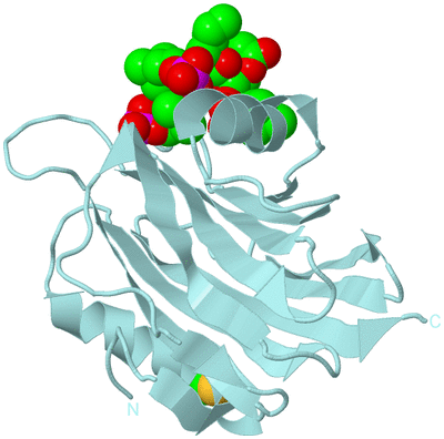 Image Biological Unit 6