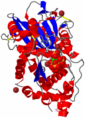 Image Asym./Biol. Unit