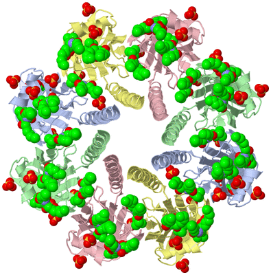 Image Biological Unit 1