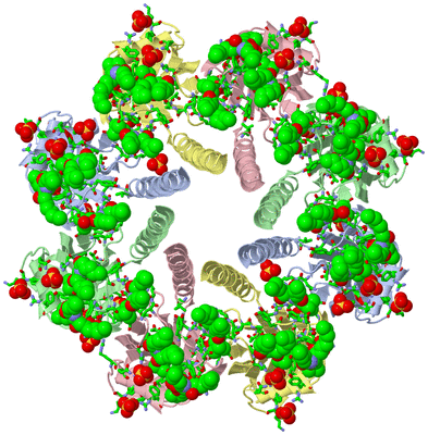 Image Biol. Unit 1 - sites