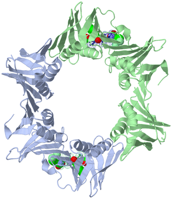 Image Biological Unit 2