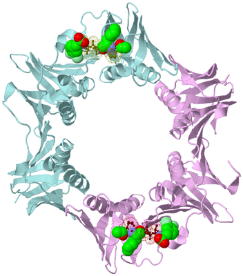 Image Biological Unit 3