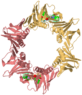 Image Biological Unit 4