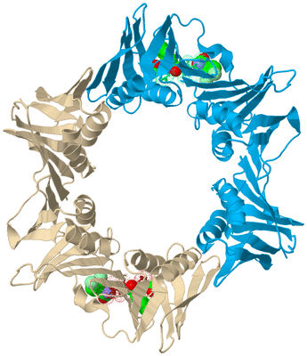 Image Biological Unit 5