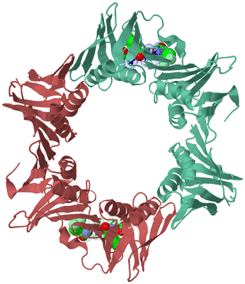 Image Biological Unit 6