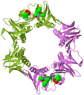 Image Biological Unit 7