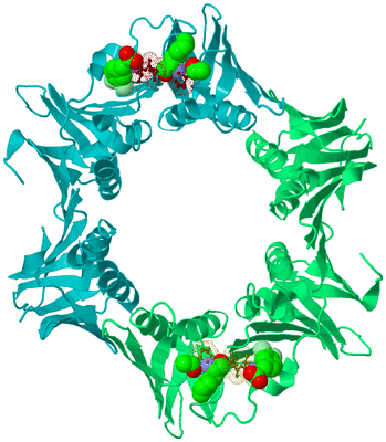 Image Biological Unit 8