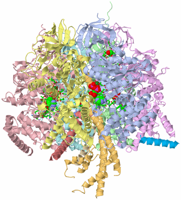 Image Asym./Biol. Unit - sites