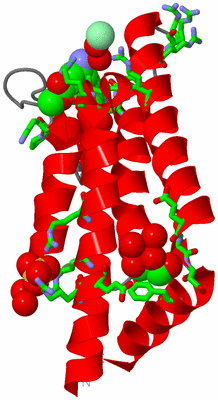 Image Asym./Biol. Unit - sites