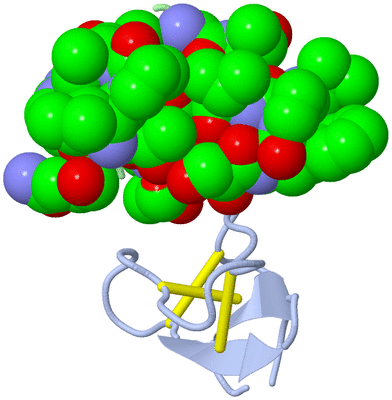 Image Asymmetric Unit