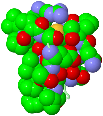 Image Biological Unit 2