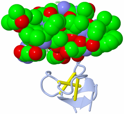 Image Asymmetric Unit