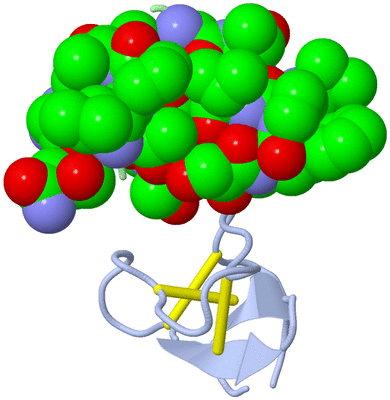 Image Asymmetric Unit