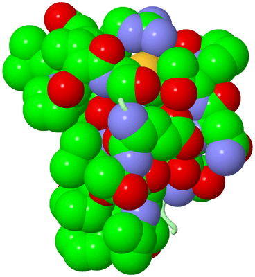 Image Biological Unit 2